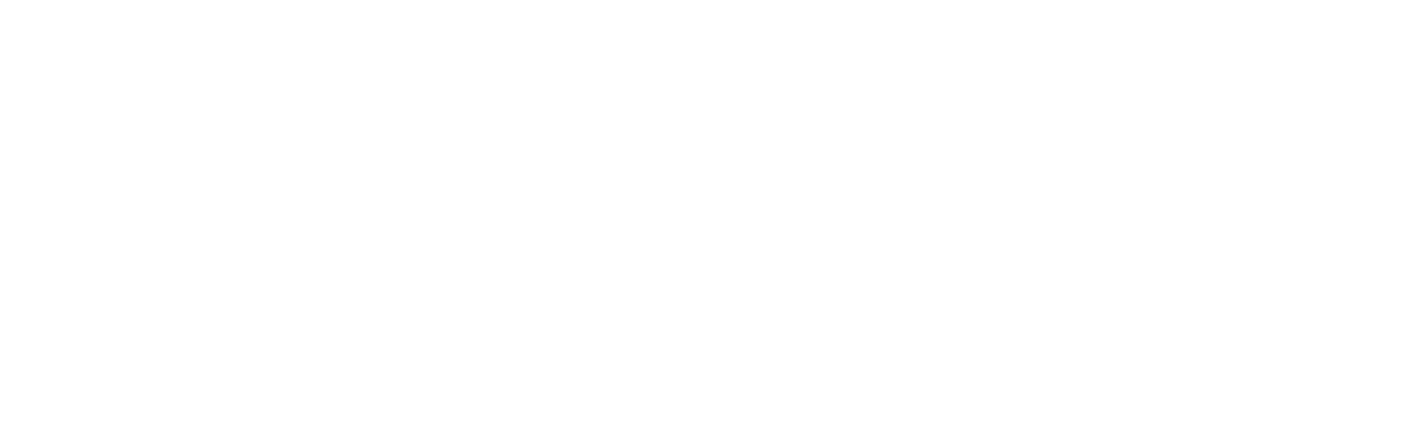 Blitz Wallet app icon full color